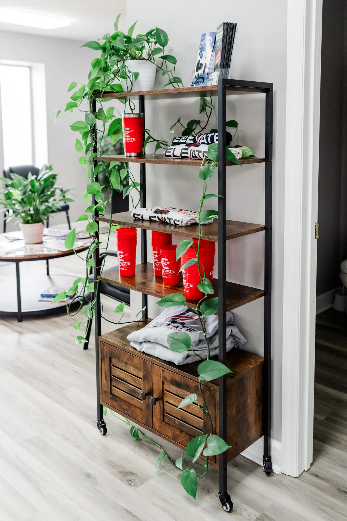 Reception shelving and plants