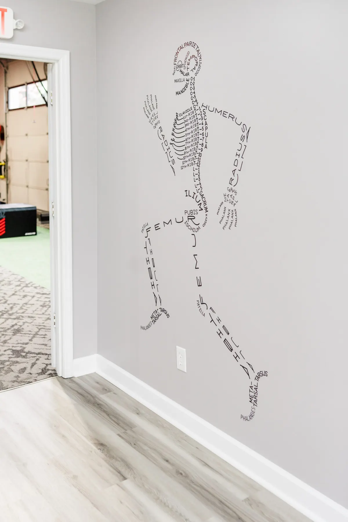 Anatomy mural in the hallway
